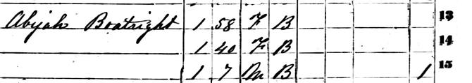 Abijah Boatwright 1860 Slave Census - Marion County, SC